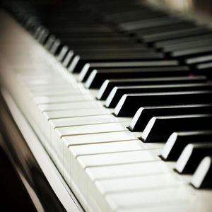 日母犬指南最新更新内容介绍
