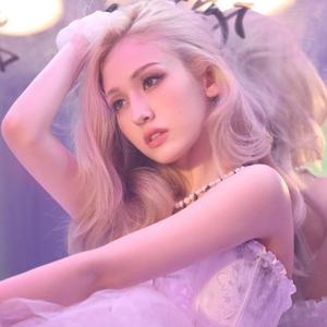 日母犬指南最新更新内容介绍
