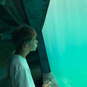 日母犬指南最新更新内容介绍
